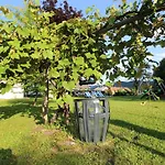 לינה וארוחת בוקר Haus Falle 3*