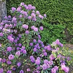 Haus Falle לינה וארוחת בוקר שיפלינג אם סי