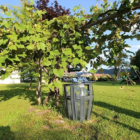 לינה וארוחת בוקר Haus Falle 3*