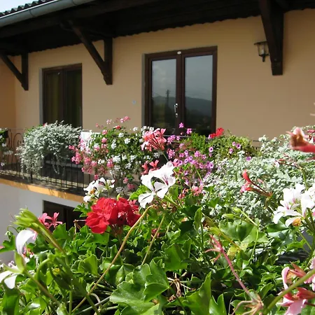 Haus Falle Bed & Breakfast