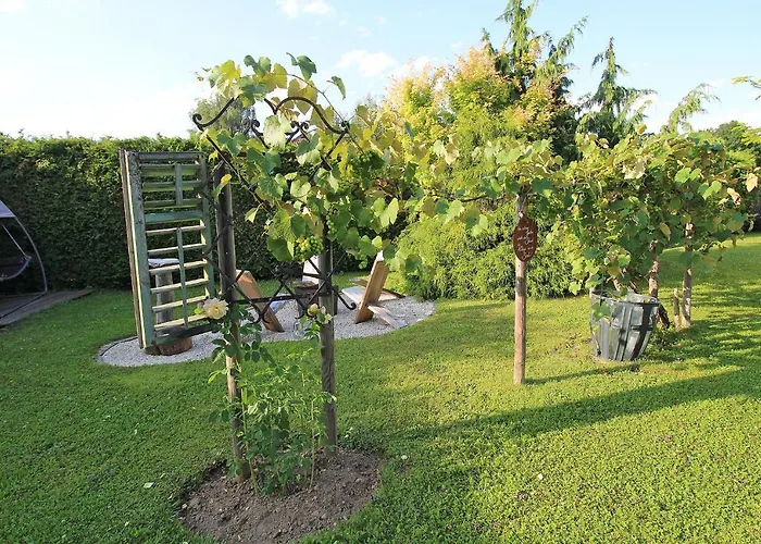 Bed & Breakfast Haus Falle