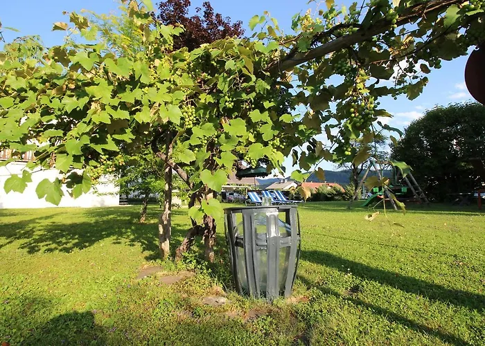 Bed & Breakfast Haus Falle 3*