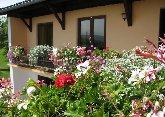 Haus Falle Bed & Breakfast
