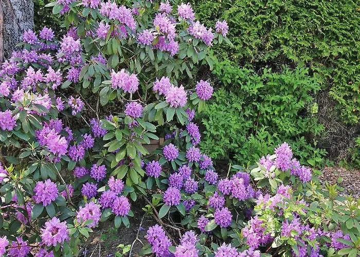 Haus Falle Frühstückspension Schiefling am Wörthersee